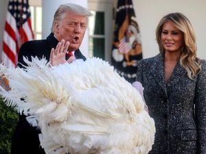 Trump, Pernyataan dan Berbagai Ekspresinya Usai Pilpres AS