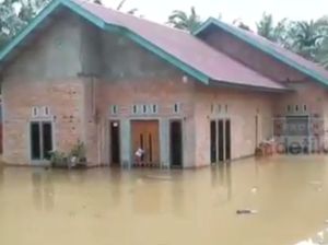 Dahsyatnya Banjir Tebo Ilir Jambi, Ketinggian Air Capai 2 Meter