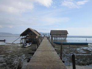 Mengenal Burung Khas Papua Lebih Dekat di Raja Ampat