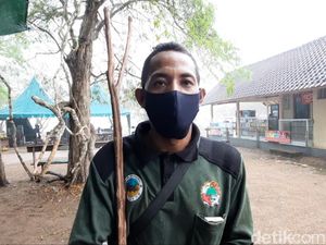 Pulau Komodo Sempat Ditutup, Pemandu Wisata Kembali Memancing