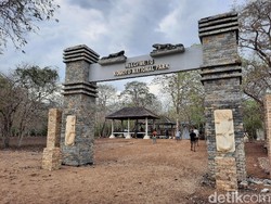 Traveler, Waspada Hujan Petir di TN Komodo sampai 2 Maret 2023