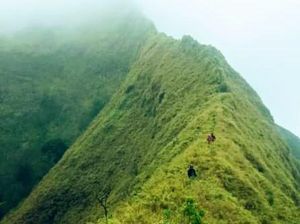 Foto: Gunung Pyramid Bondowoso yang Disebut Setara Cartenzs Foto: Gunung Pyramid Bondowoso yang Disebut Setara Cartenzs