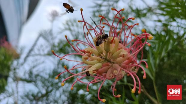 Hasil foto Realme 7 Pro Hasil foto Realme 7 Pro