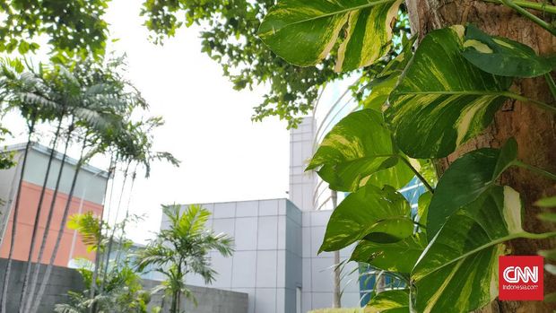 Hasil foto Realme 7 Pro Hasil foto Realme 7 Pro