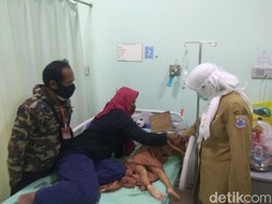 Jari Balita di Bandung Barat Bengkak dan Membiru Akibat Digigit Ular