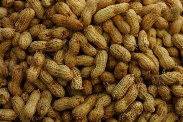 Kacang tanah rebus jadi pilihan camilan diet