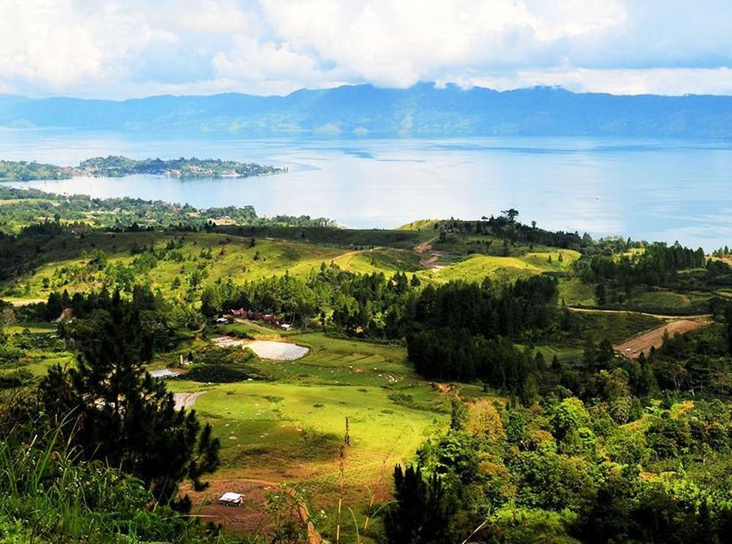 Hari Menanam Pohon, Kenali 5 Kebun Raya Terindah di Indonesia Hari Menanam Pohon, Kenali 5 Kebun Raya Terindah di Indonesia