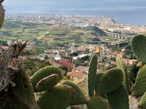 Mafia dan COVID-19, Pandemi Ganda di Italia Selatan