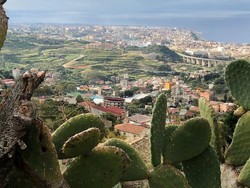 Mafia dan COVID-19, Pandemi Ganda di Italia Selatan