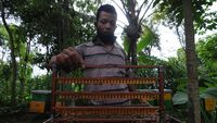 Manisnya Bisnis Royal Jelly di Boyolali