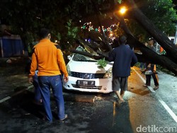 Pohon Tumbang Timpa Mobil Saat Hujan Deras Disertai Angin Kencang