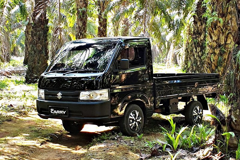 Suzuki New Carry Pick Up