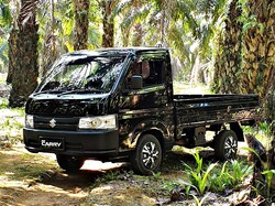 Banyak Pendatang Baru, Ini Strategi Suzuki di 2024