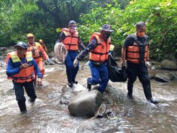 Bayi dari Satu Keluarga Terseret Arus Sungai di Banyuwangi Ditemukan Tewas
