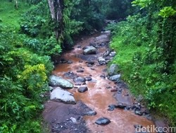 8 Kecamatan di Banyuwangi Rawan Banjir dan Tanah Longsor