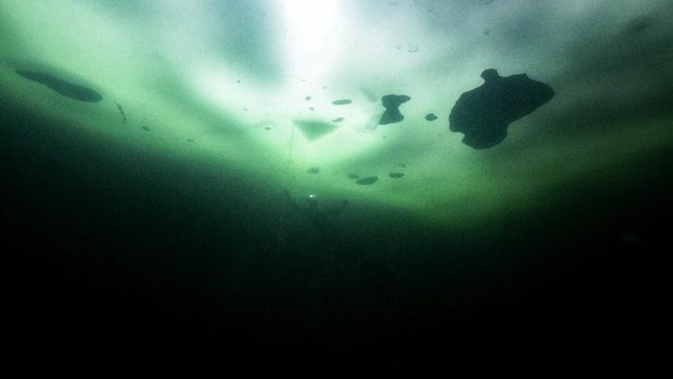 Johanna Nordblad, 42, Finnish freediver swims under ice during a Ice-freediving training session on February 28, 2017, in Somero (southwest Finland). - The ice is about 45cm thick, water temperature +1C. Johanna Nordblad holds the world record of freediving under ice with bathing suit with 50m distance. (Photo by OLIVIER MORIN / AFP) / TO GO WITH AFP STORY BY Sabine COLPART