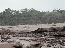 10 Alat Berat, 3 Kendaraan dan 12 Ternak Warga Tertimbun Material Vulkanik Semeru