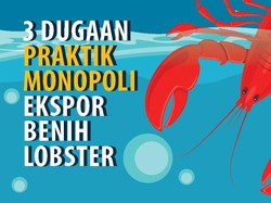 Monopoli Ekspor Benih Lobster Mulai Terkuak