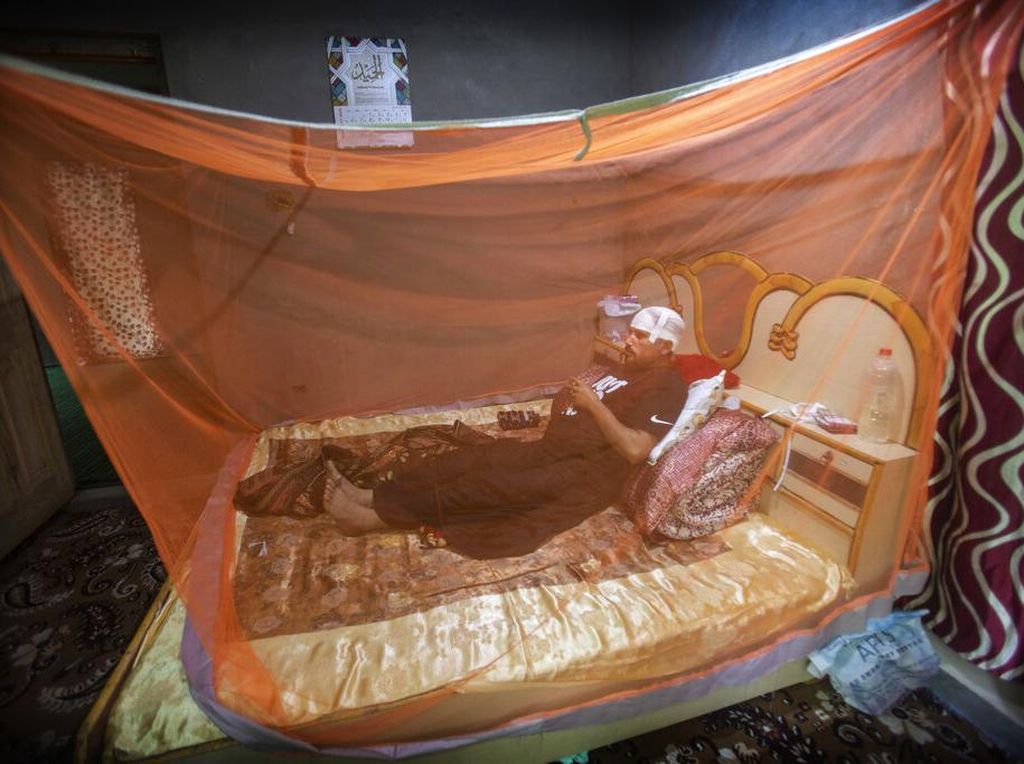 Serangan Hewan Liar Makin Marak di Kashmir Serangan Hewan Liar Makin Marak di Kashmir