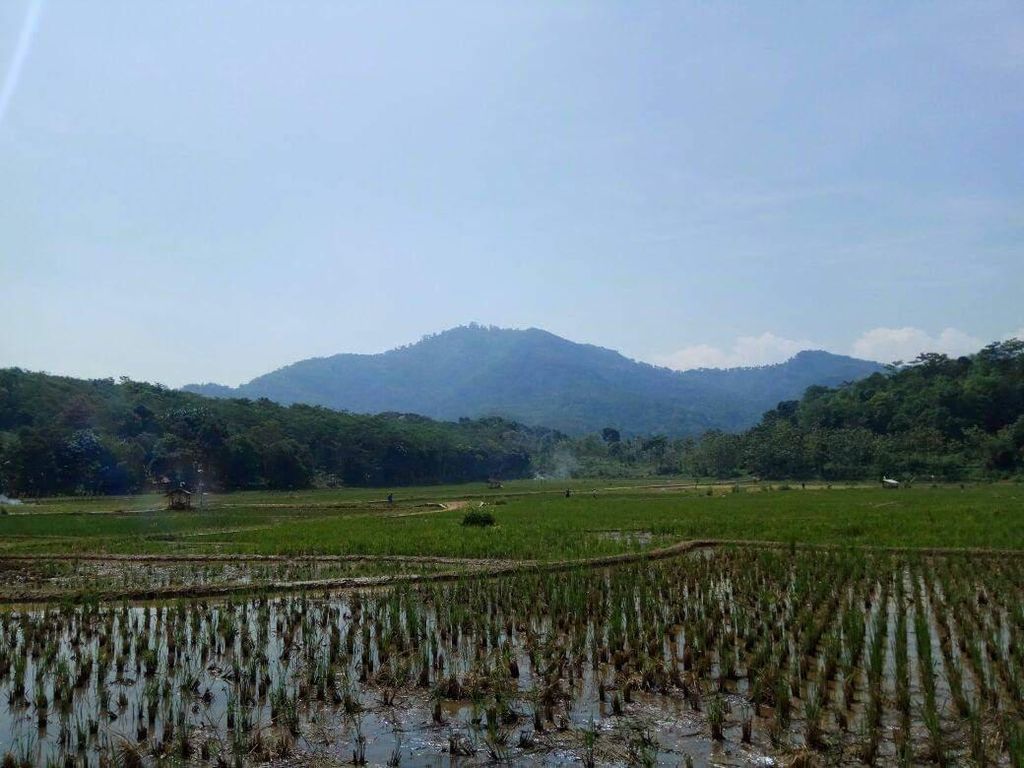Bunyi Gamelan di Gunung Ciajur, Taiwan Tolak Pekerja Indonesia Masuk