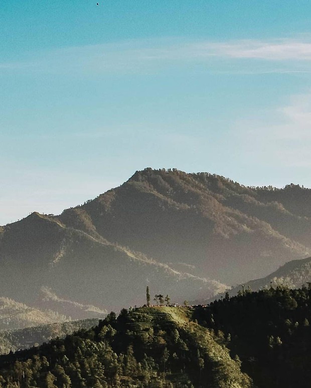 instagram.com/panderman_buthak/