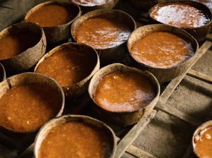 Ini Cara Membedakan Gula Merah Asli dan Oplosan