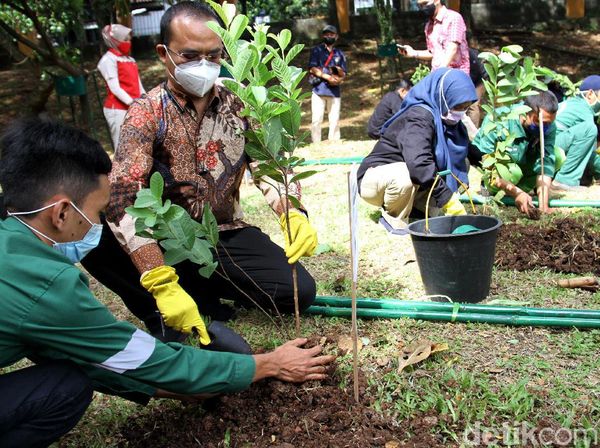 Menghijaukan Kota Depok Lewat Menanam Pohon