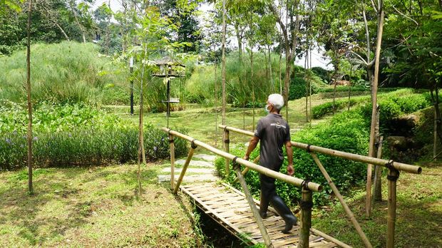 Pemandangan Pullman Ciawi Vimala Hills Resort Spa & Convention