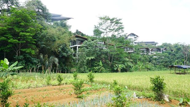Pemandangan Pullman Ciawi Vimala Hills Resort Spa & Convention