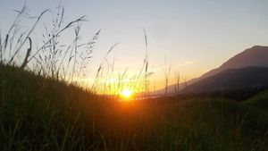 Foto: Sunset Terbaik dari Danau Sentani, Ada di Bukit Ini