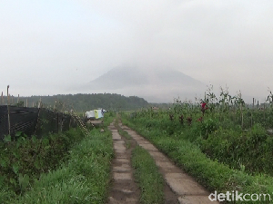 BPBD Jatim Terjunkan Tim Reaksi Cepat Antisipasi Erupsi Susulan Gunung Semeru
