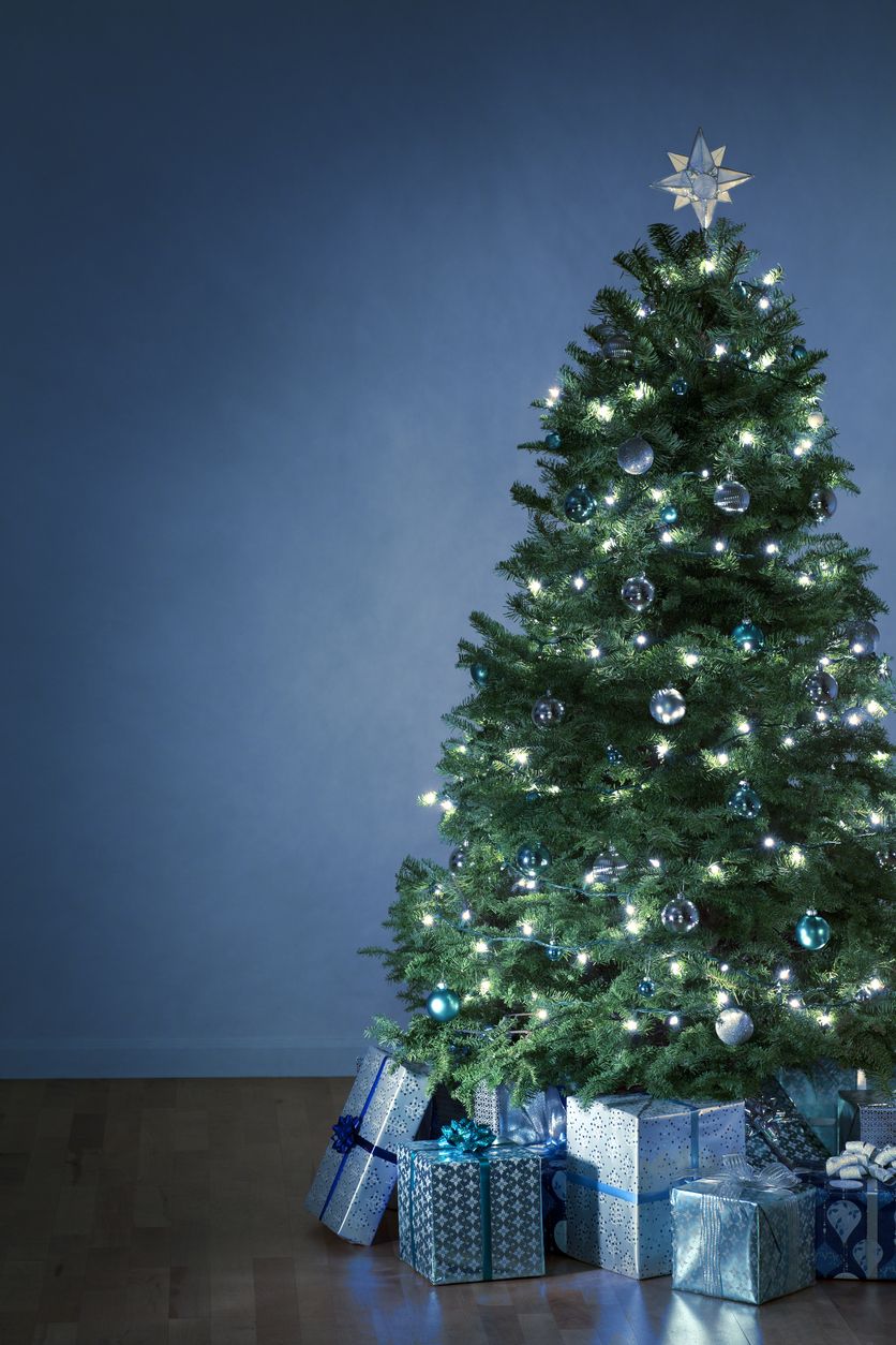 2020 New Year Alternative Christmas trees homemade cookies Christmas-tree decorations-balls lying on a blue background. Close-up, horizontal layout, copy space.