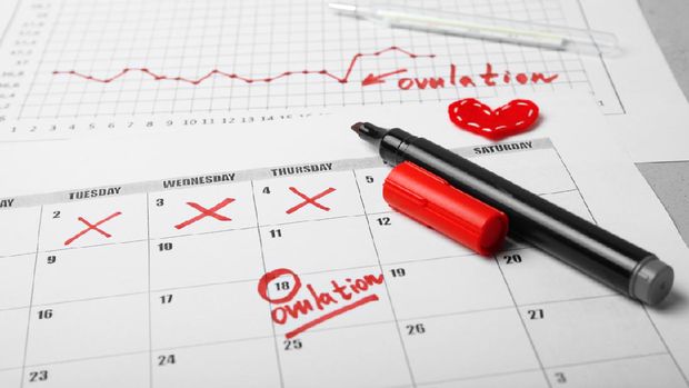 Kalender Menstruasi