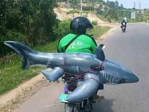 Tanggapan Gojek Soal Order Kurir yang Kelebihan Muatan