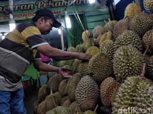Menikmati Kelezatan Durian Pekanbaru yang Khas