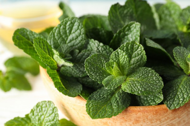 Jika kamu menderita gangguan pencernaan, kamu bsia konsumsi mint karena mint adalah obat alami