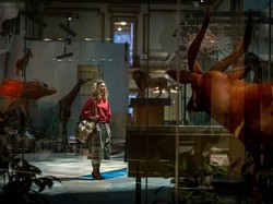 5 Hal Tentang Cheetah, Musuh Diana Prince di Wonder Woman 1984