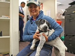 Anak Anjing Reuni dengan Pemilik Setelah Terpisah 480 Kilometer