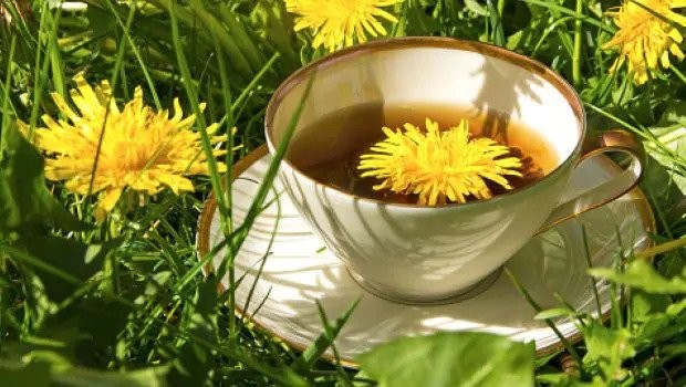 Teh dandelion root merupakan diuretik alami yang akan membantu mengurangi berat atau retensi air dengan meningkatkan buang air kecil.