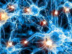 Ilmuwan Australia Ciptakan Kulit Buatan yang Bisa Merasakan Sakit