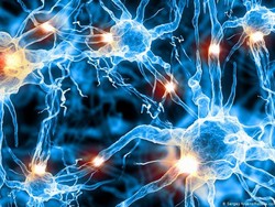 Ilmuwan Australia Ciptakan Kulit Buatan yang Bisa Merasakan Sakit