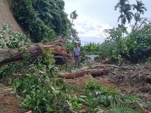 Basarnas Sebut Tinggal 1 Korban Longsor Sibolangit yang Belum Ditemukan Basarnas Sebut Tinggal 1 Korban Longsor Sibolangit yang Belum Ditemukan