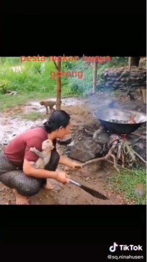 Sangar! Aksi Wanita Berburu Buaya untuk Digoreng dan Dimakan