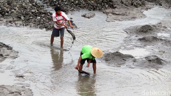 Menambang Pasir di Tengah Ancaman Erupsi Merapi