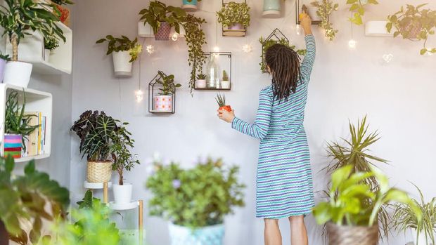 Young woman taking care of her potted plants at home