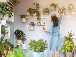 5 Tips Menyimpan Tanaman Biar Nggak Layu saat Mudik Lebaran