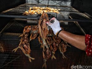 Ikan Salai, Oleh-oleh Nikmat Wajib Beli di Rupat Ikan Salai, Oleh-oleh Nikmat Wajib Beli di Rupat