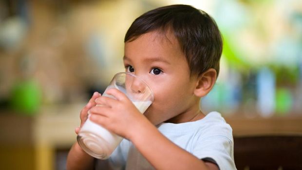 ilustrasi anak minum susu