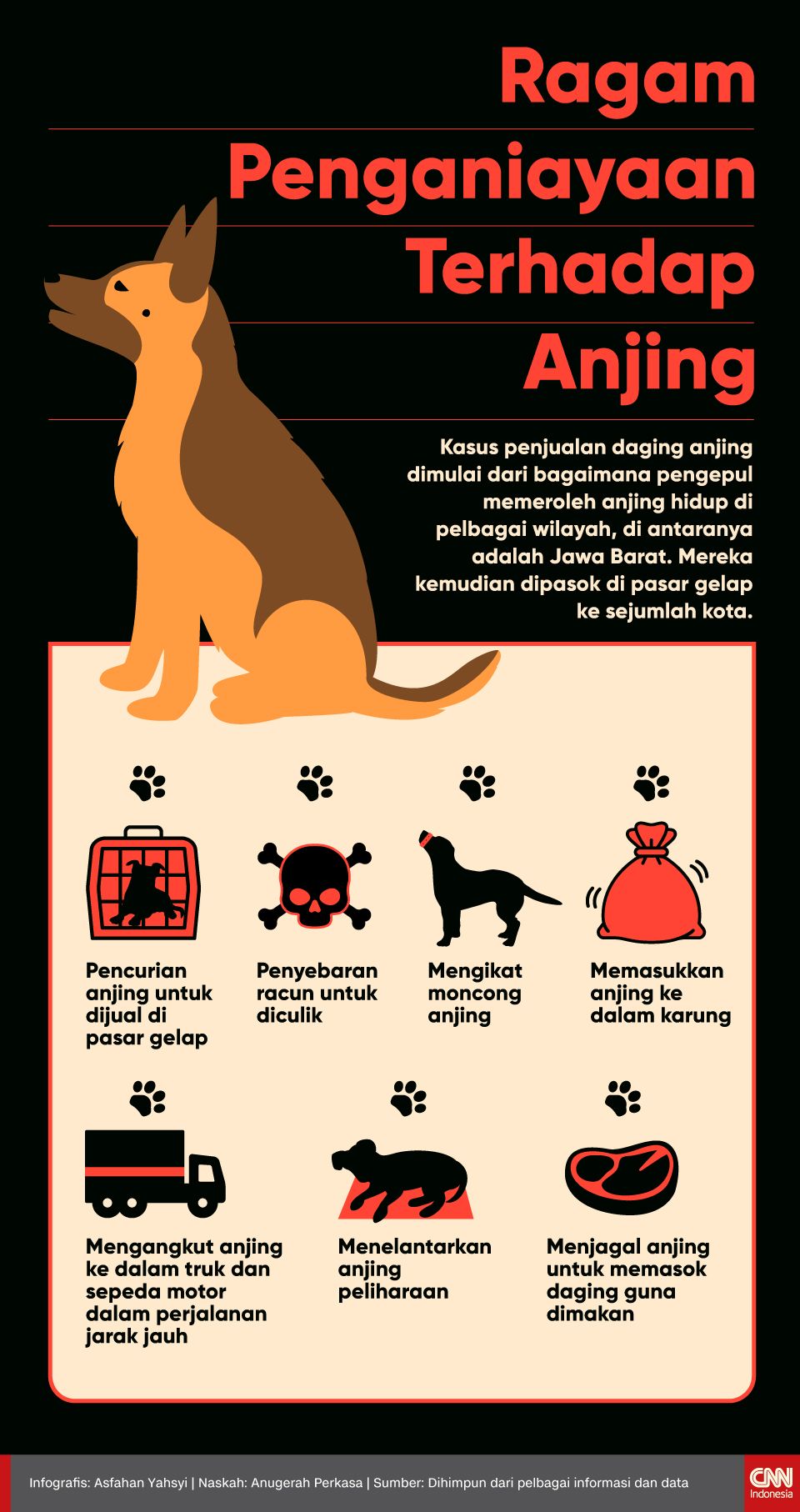 Infografis Ragam-penganiayaan-terhadap-anjing
