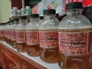 Madu Kelulut, Oleh-oleh Khas Rupat yang Banyak Khasiat